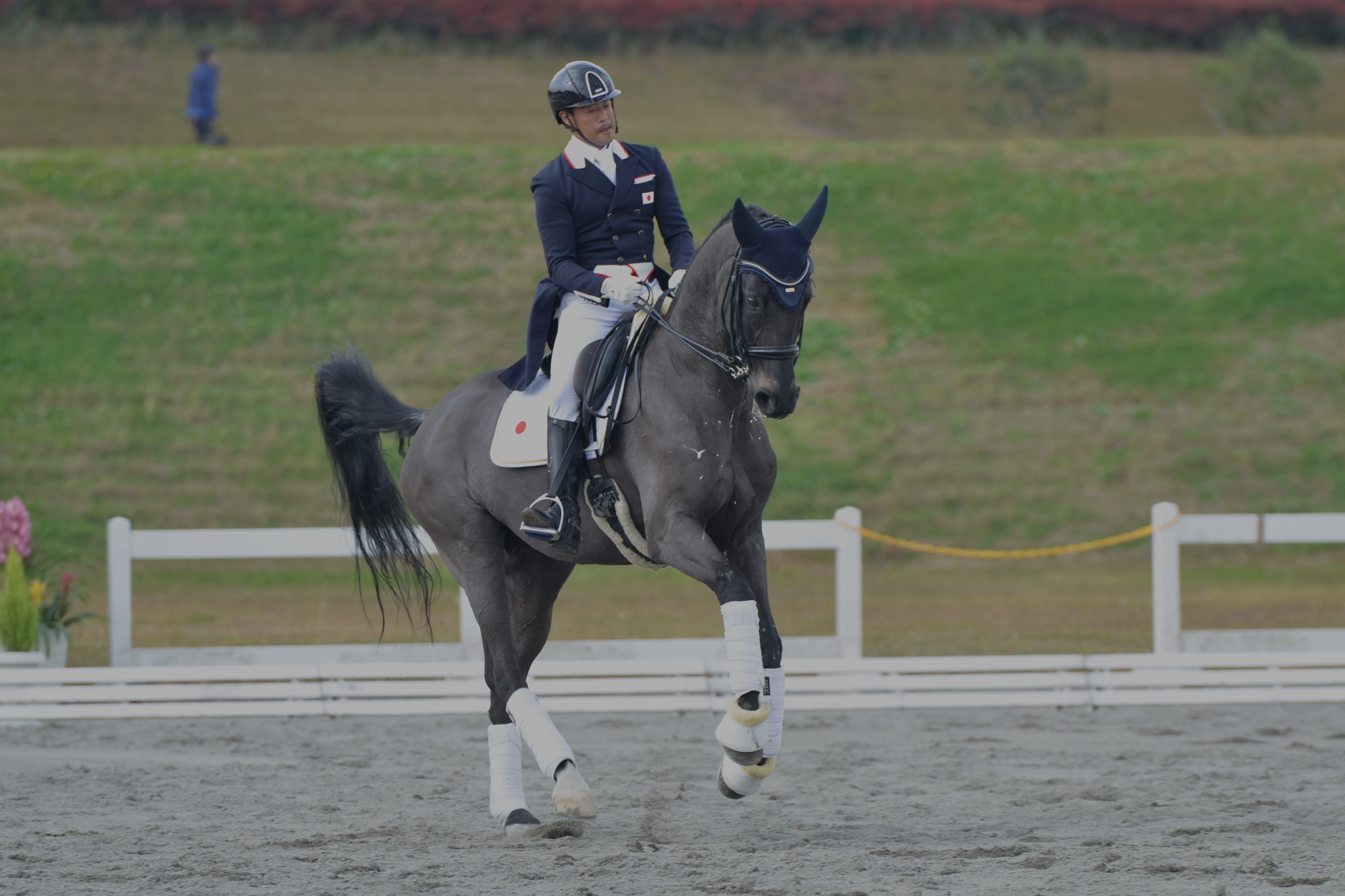 公益社団法人 日本馬術連盟 《Japan Equestrian Federation